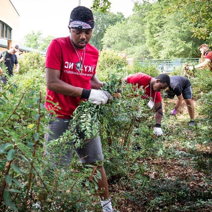 Student volunteers working at local nonprofit cutting back landscaping